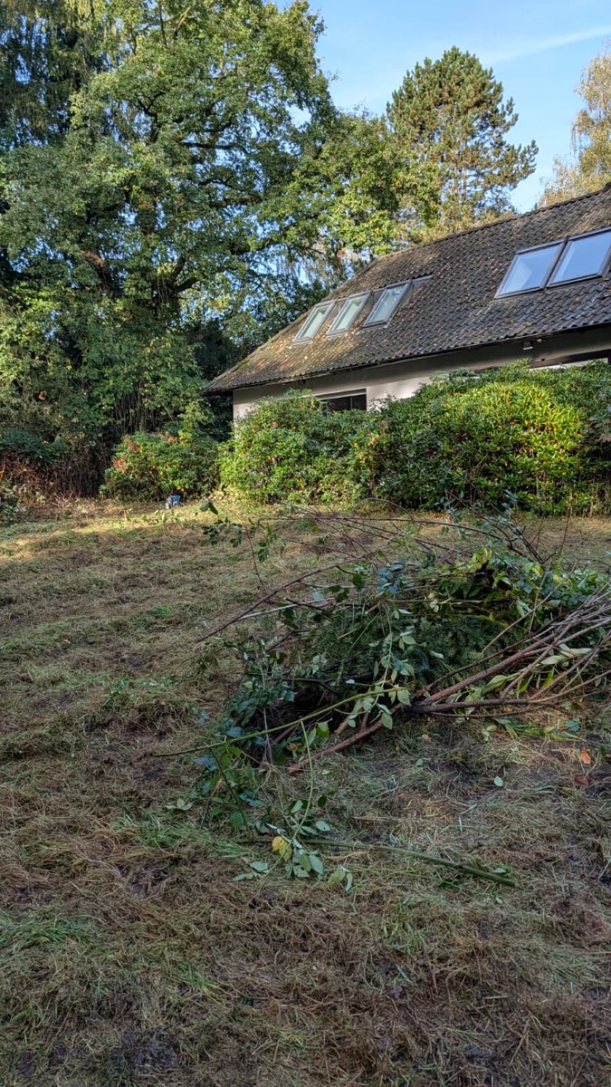 Haufen abgeschnittener Äste auf der gemähten Wiese, dahinter ein Haus mit Dachfenstern und eine große Eiche