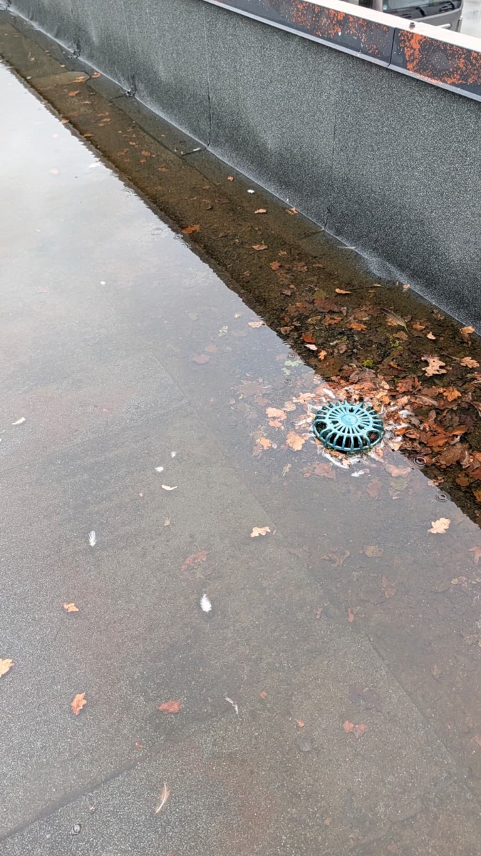 Flachdach im Regen, an der Attika steht Wasser mit treibendem Laub, mittendrin ein türkisfarbener Einlaufkorb