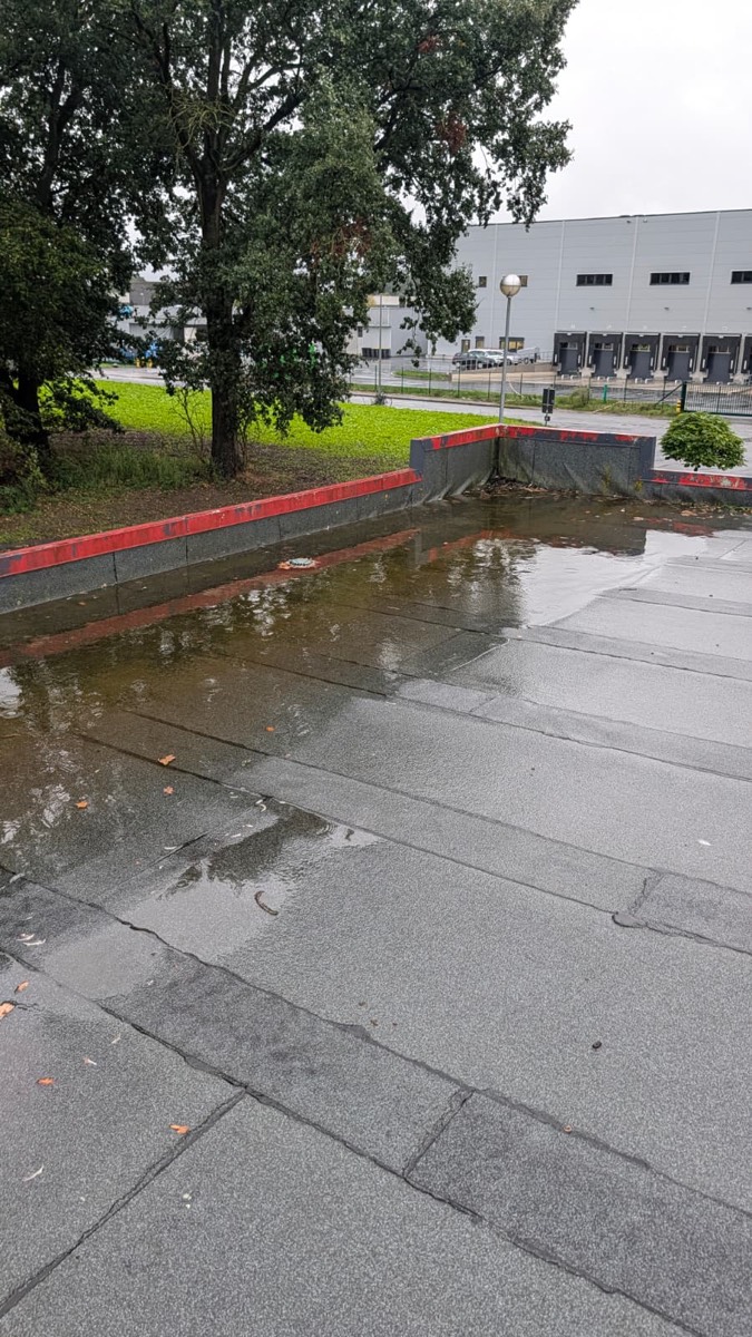 Flachdach mit breiter Wasserfläche vor der rot abgesetzten Attika, dahinter Rasen, ein Baum und eine graue Halle