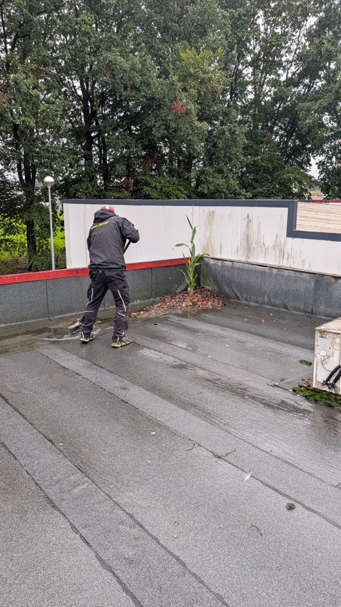 Mitarbeiter in dunkler Regenkleidung kehrt an einer rot abgesetzten Attika, in der Dachecke wächst eine hohe Pflanze aus dem Laub