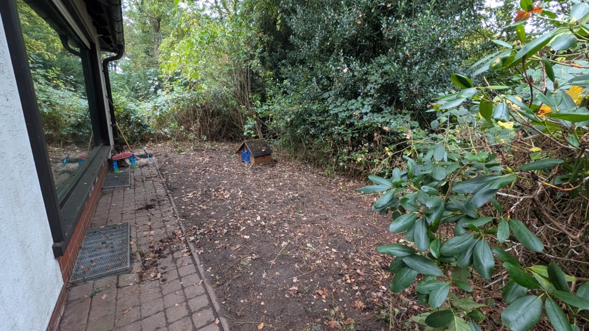 Hinter einem Bungalow liegt der Boden frei geräumt, gesäumt von Rhododendron und dichtem Gehölz