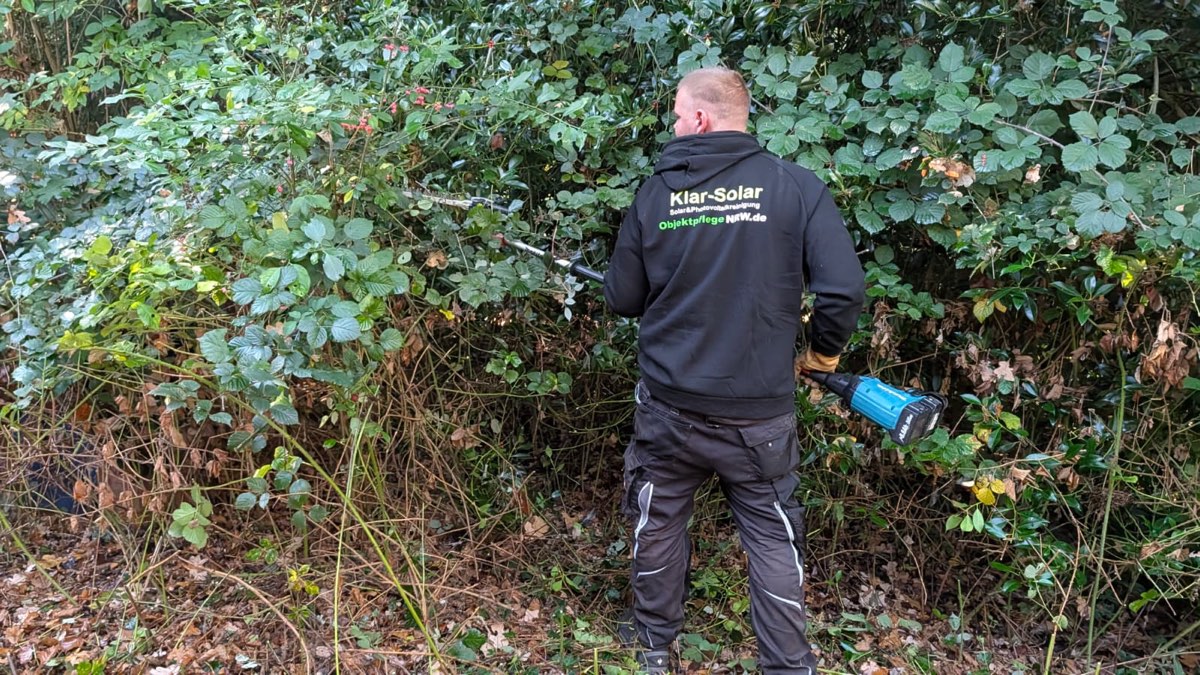 Rückansicht eines Mitarbeiters in bedruckter Arbeitsjacke, der eine Akku-Heckenschere mit Verlängerung durch Brombeerranken führt