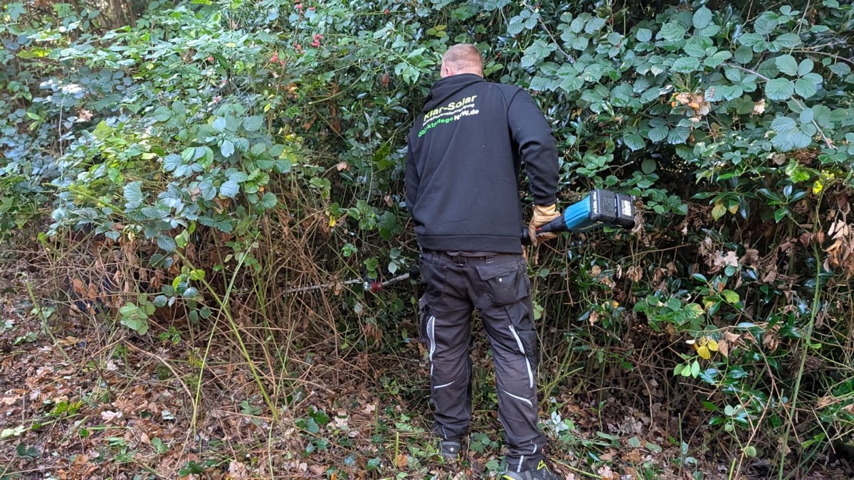 Mitarbeiter von hinten, der mit der Heckenschere in dichtes Brombeergestrüpp schneidet, davor liegt Laub am Boden