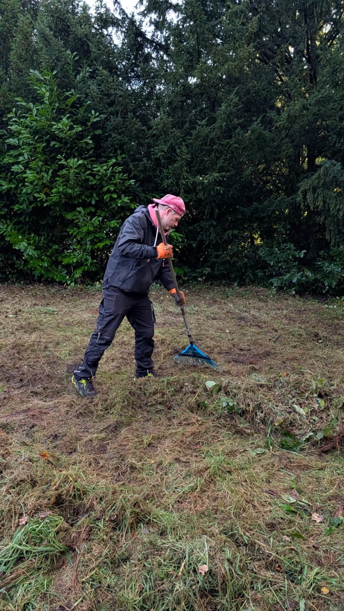 Mitarbeiter mit rosa Kappe und orangen Handschuhen recht Schnittgut zusammen, dahinter eine dunkle Eibenwand