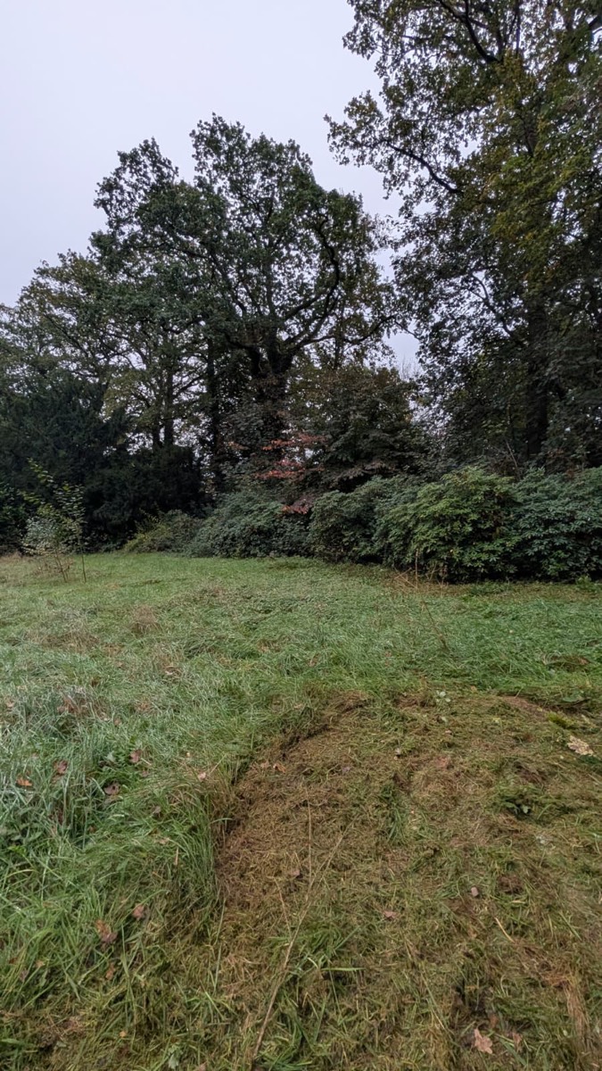 Frisch gemähte Bahn neben hohem, ungemähtem Gras, im Hintergrund Rhododendren und alte Laubbäume unter grauem Himmel