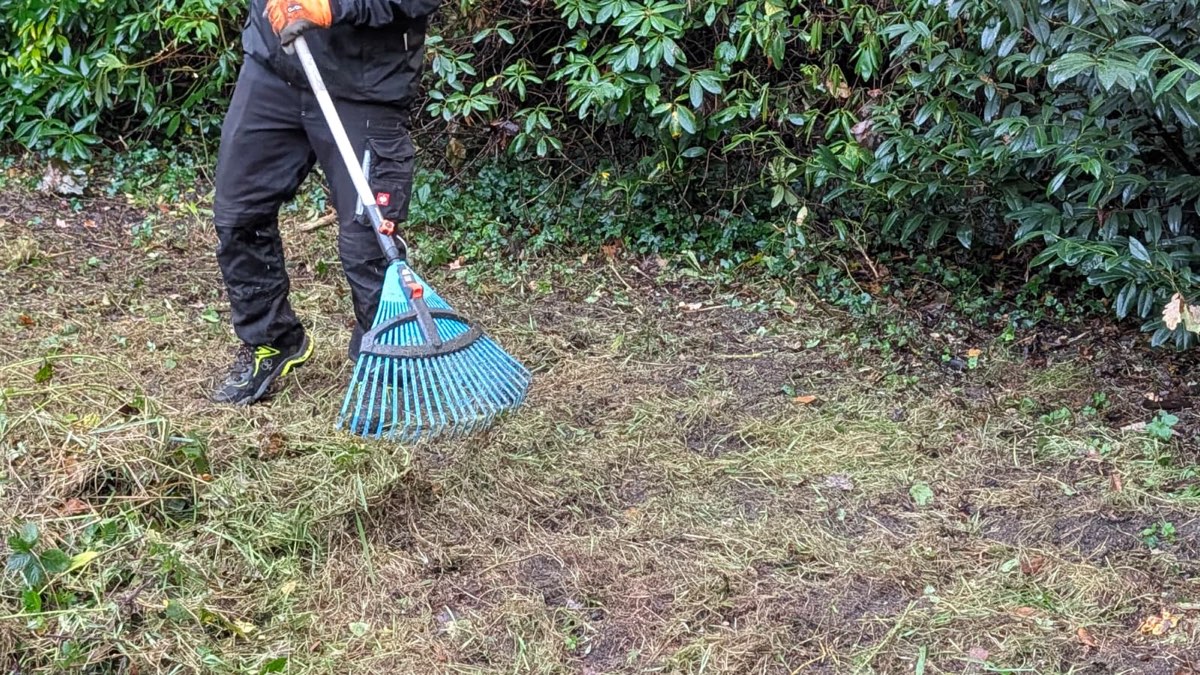 Blauer Laubrechen zieht Mähgut über den Rasen, daneben Beine in schwarzer Arbeitshose vor einem Rhododendron