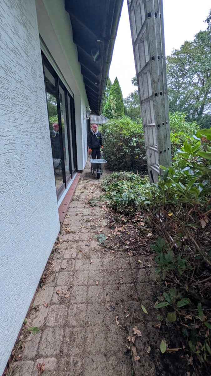 Derselbe Plattenweg mit zurückgeschnittenen Rhododendren und Schnittgut am Rand, rechts lehnt eine Leiter im Strauch, hinten schiebt ein Mitarbeiter eine Schubkarre