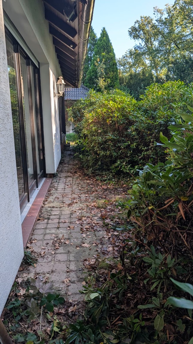 Schmaler Plattenweg zwischen weißer Hauswand und überhängenden Rhododendren, auf den Platten liegt Laub
