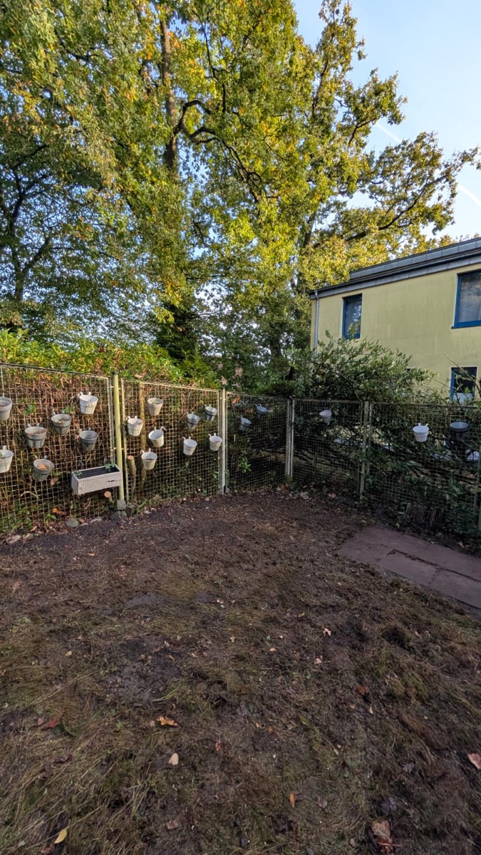 Freigeräumte Erdfläche vor einem Gitterzaun mit weißen Hängetöpfen, darüber die Krone einer großen Eiche, rechts ein hellgelbes Wohnhaus